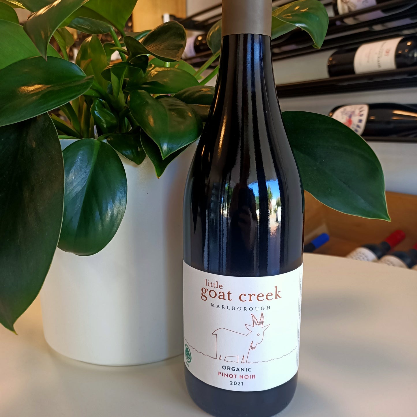 Little Goat Creek Pinot Noir