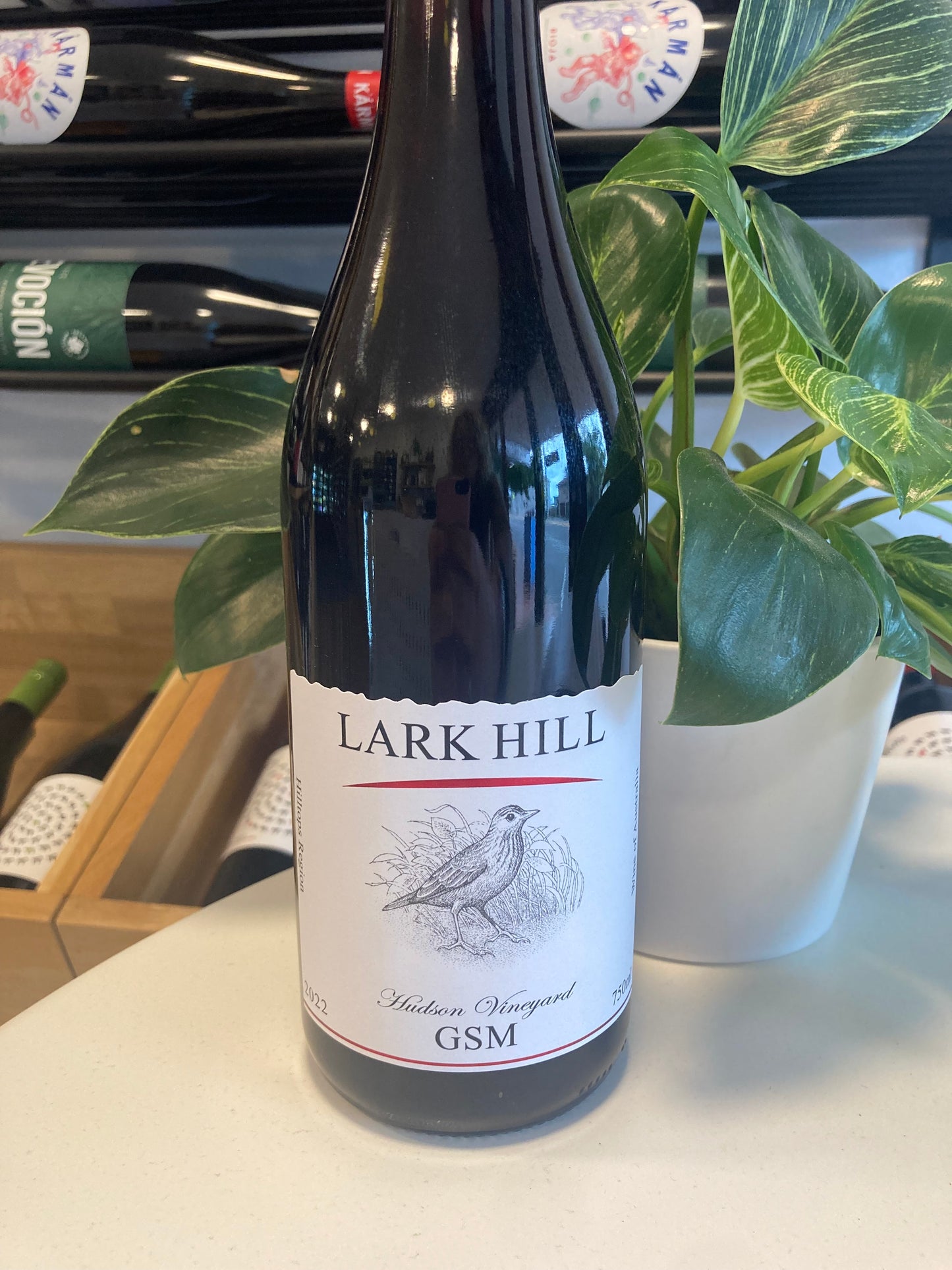 Lark Hill GSM
