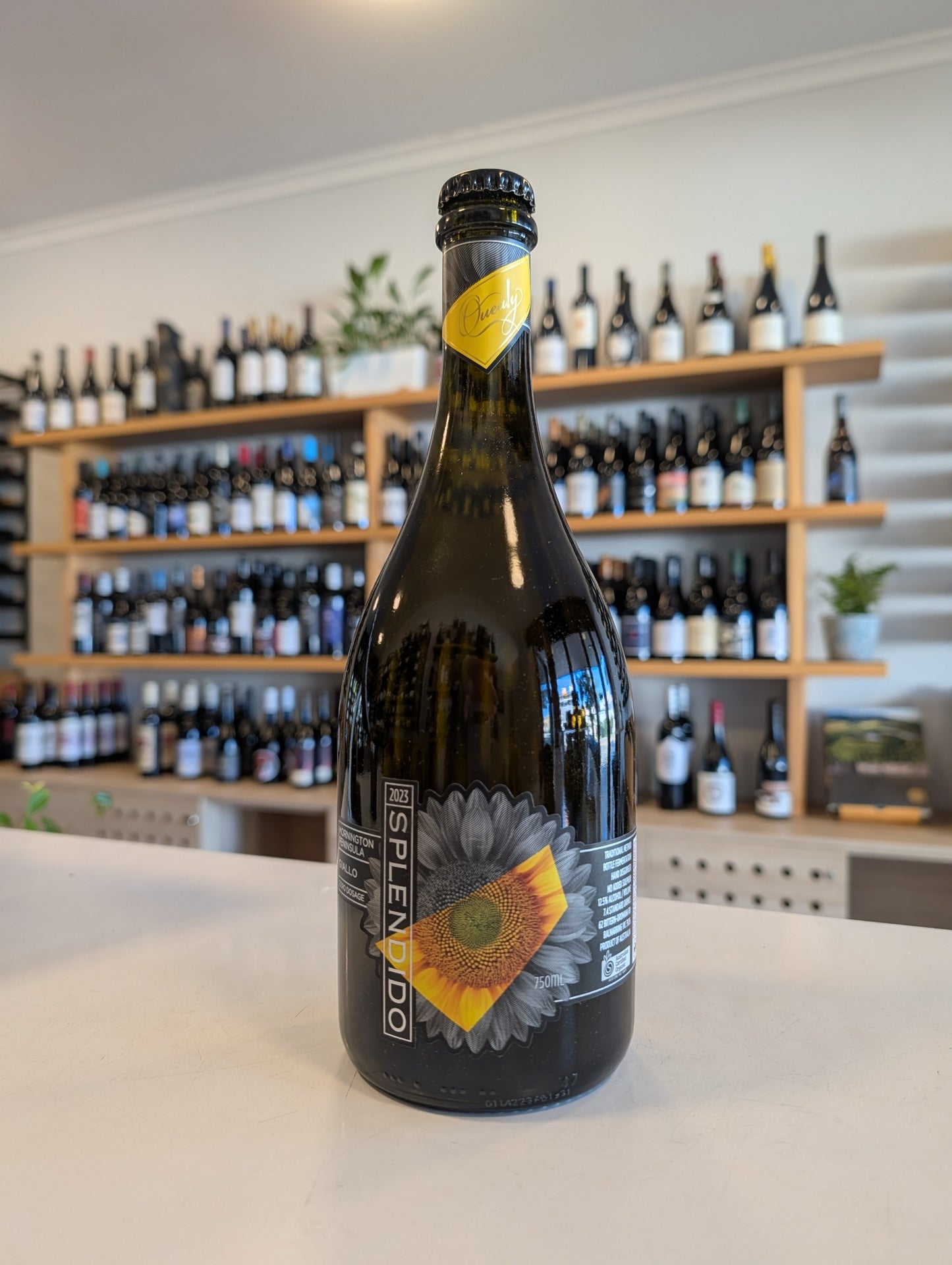 Quealy Splendido Sparkling