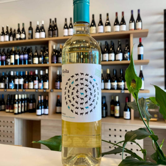 Mesta Verdejo